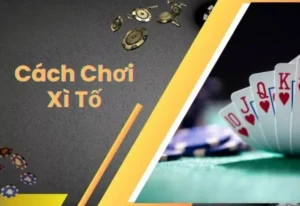 Bí Quyết Chinh Phục Xì Tố Tại Moto88: Hành Trình Thăng Hoa